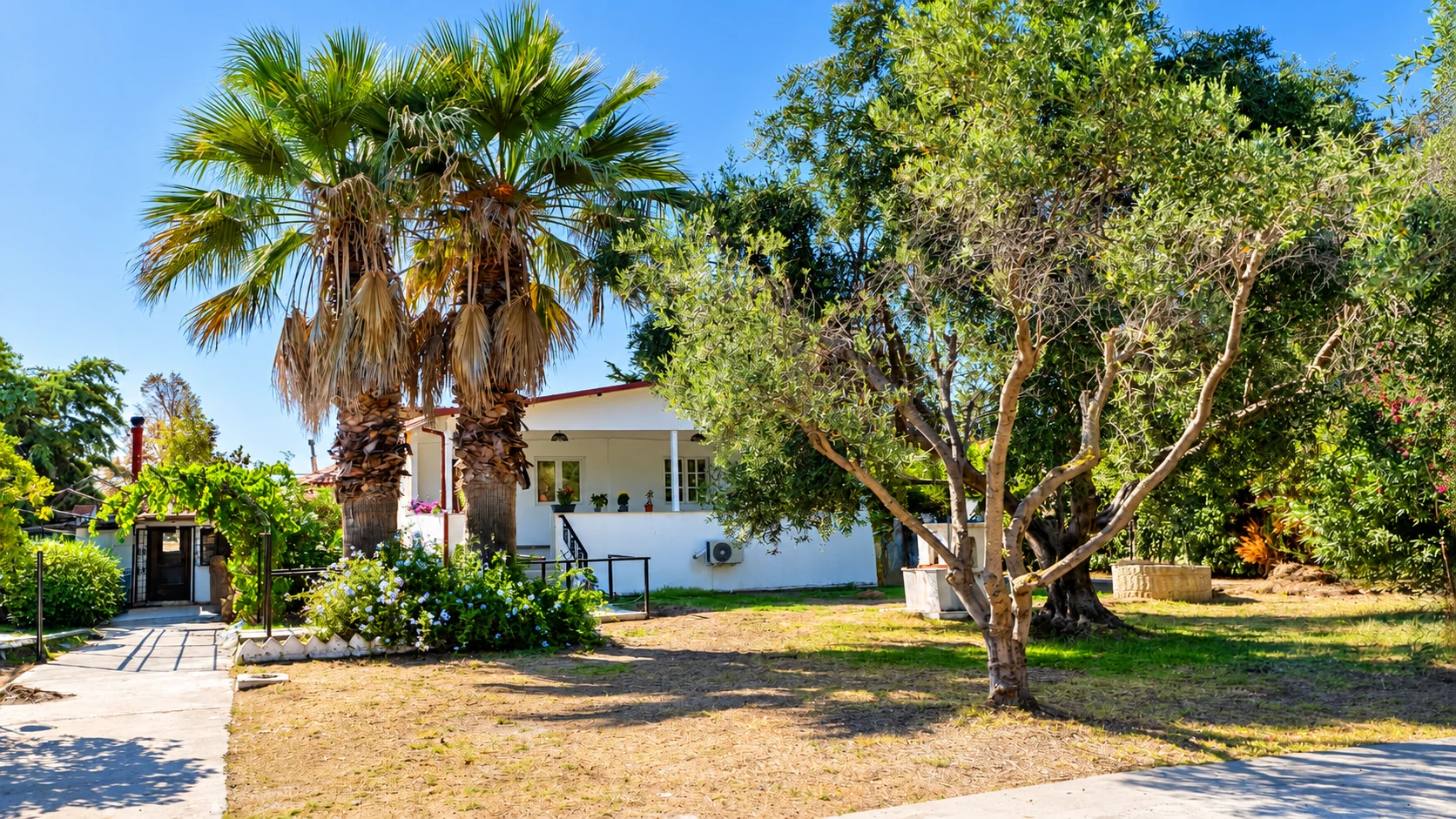 Almira Blue house and garden with palm trees